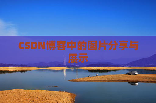 CSDN博客中的图片分享与展示